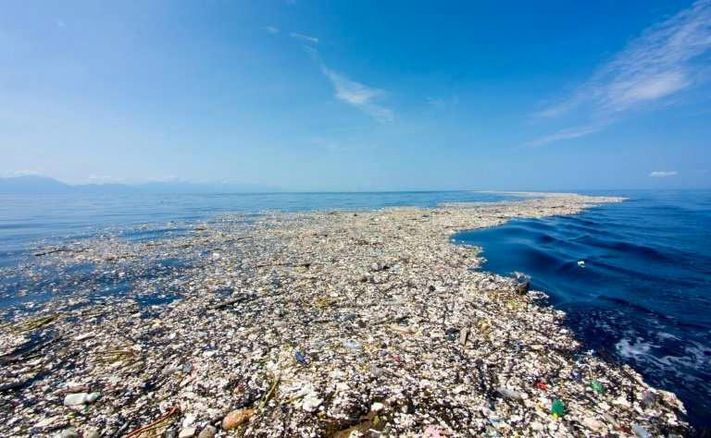 Great Garbage Patch